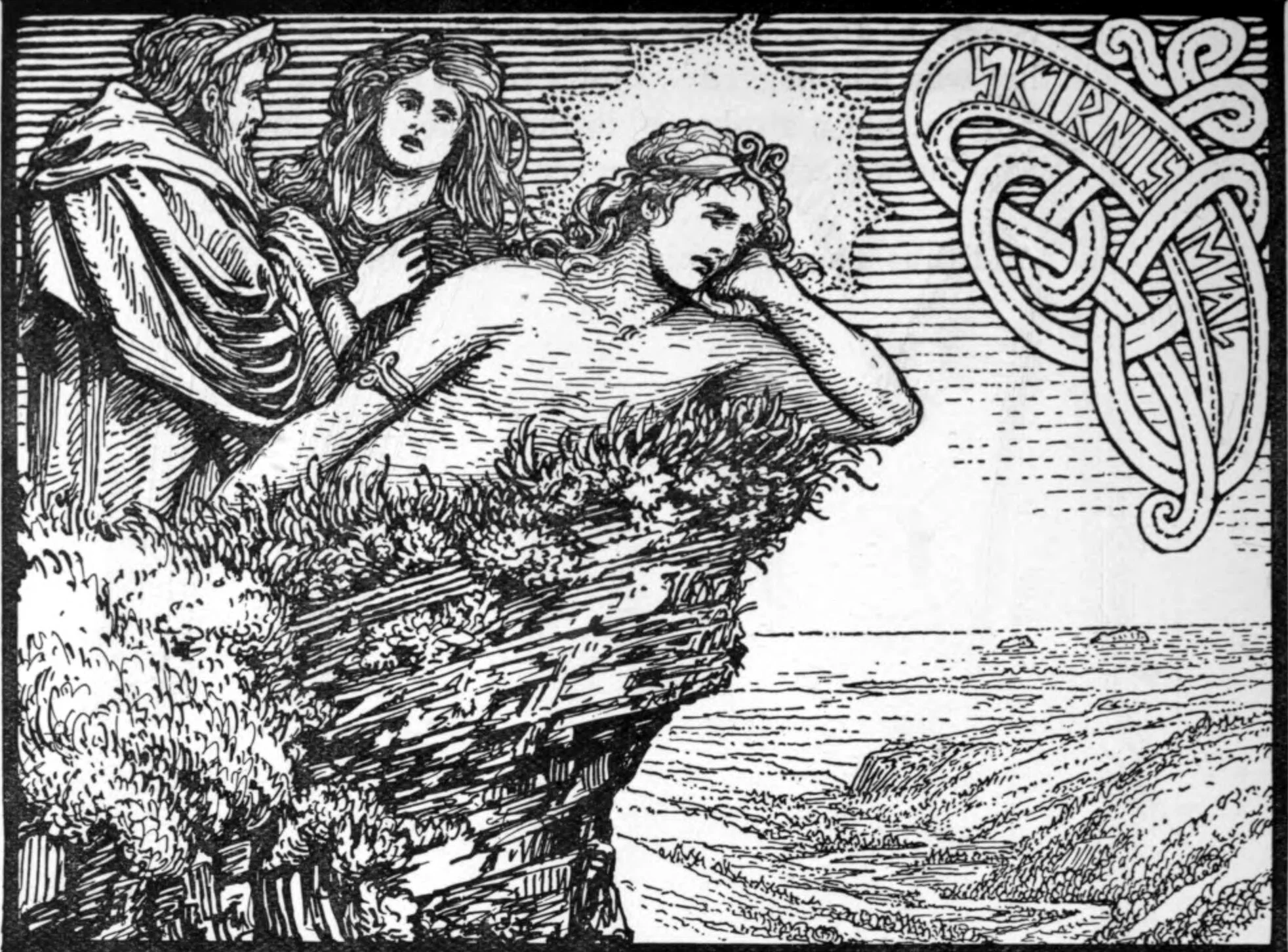 Nerthus
