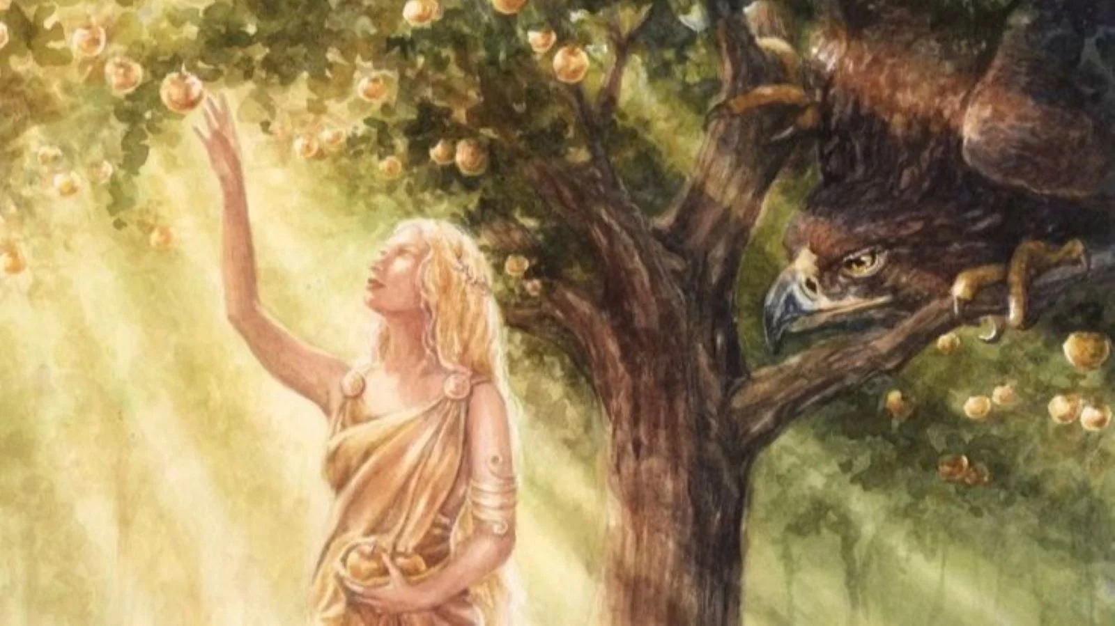 Idun's Apples of Youth